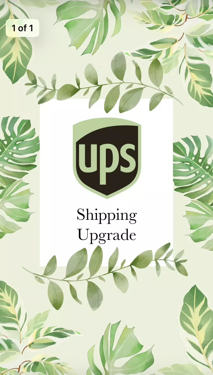 UPS - Overnight Shipping Upgrade thumbnail
