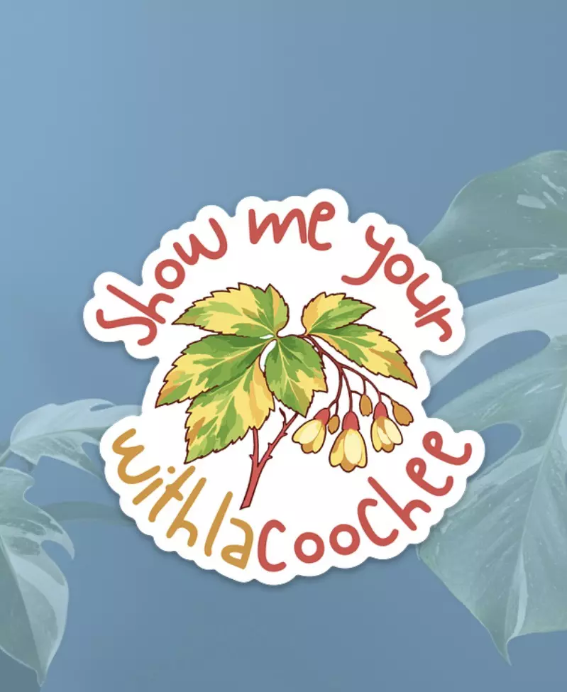 “Show me your withlacoochee” Sticker thumbnail
