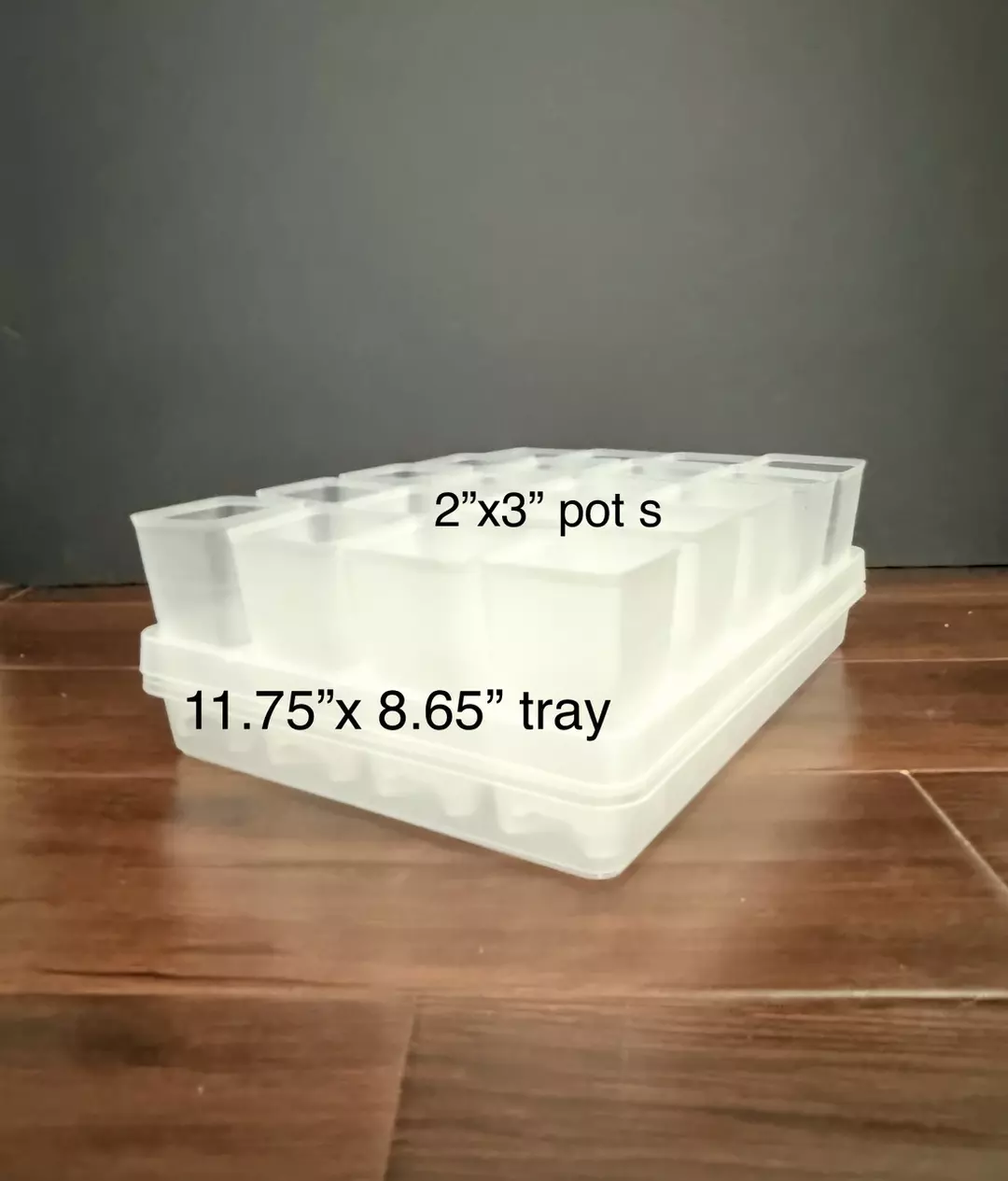 Tray set includes 2”x3” (20 pots) and 11.75”x8.65” tray with insert thumbnail