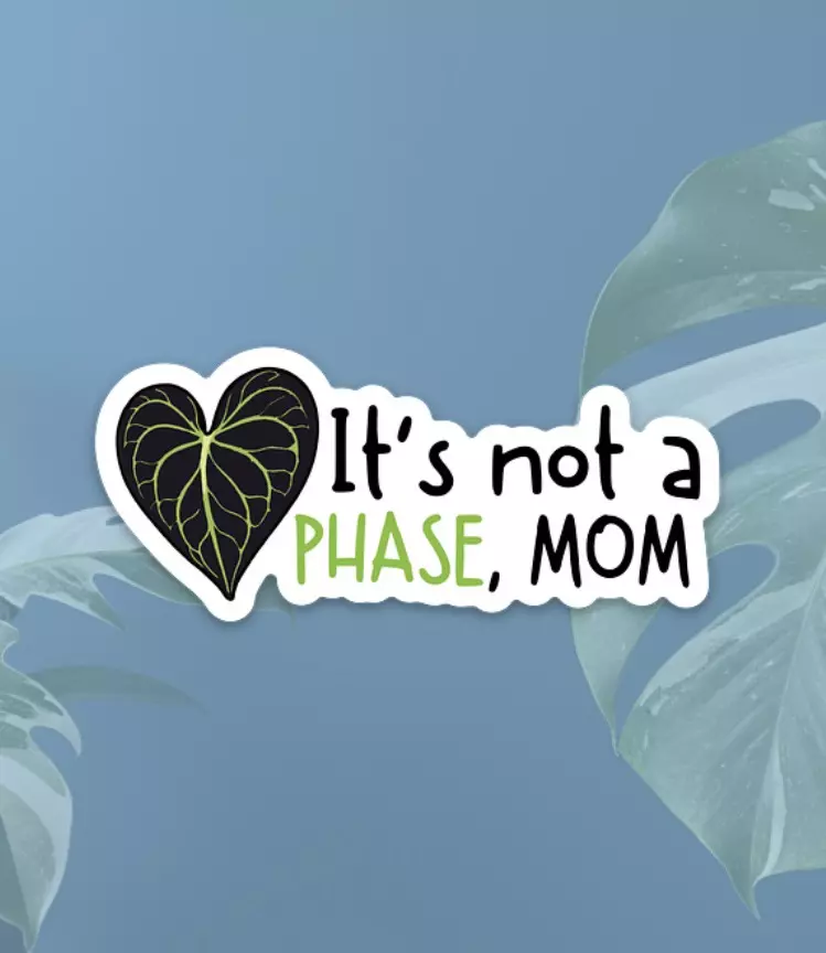 “It’s not a PHASE, mom” Sticker thumbnail
