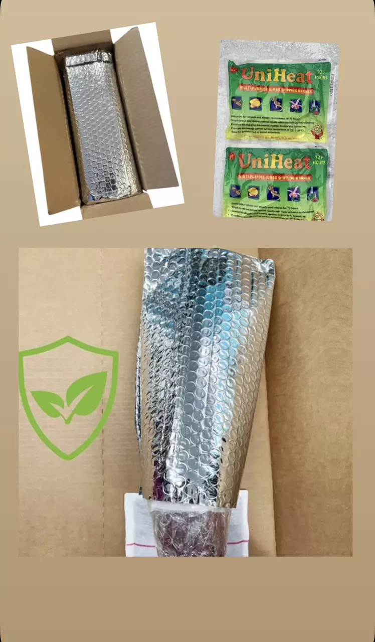 Winter packing (ADD ON) thumbnail