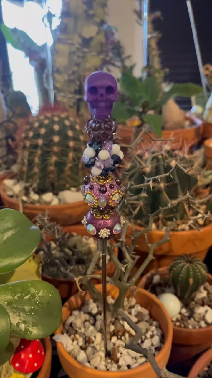 PBP handmade plant steak (pot be Priti) thumbnail