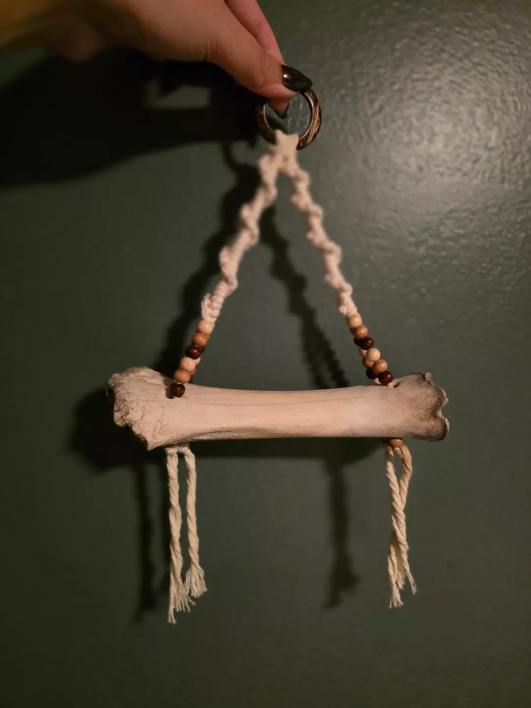 Real Animal Bone Wall Hanging thumbnail