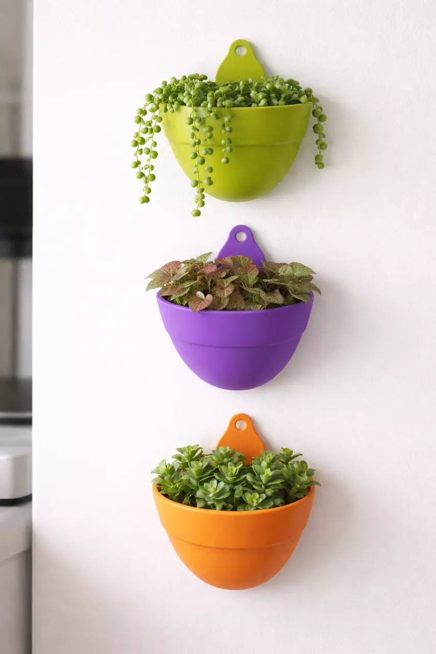 Mini Wall Pots - 3inch 3 pack! thumbnail