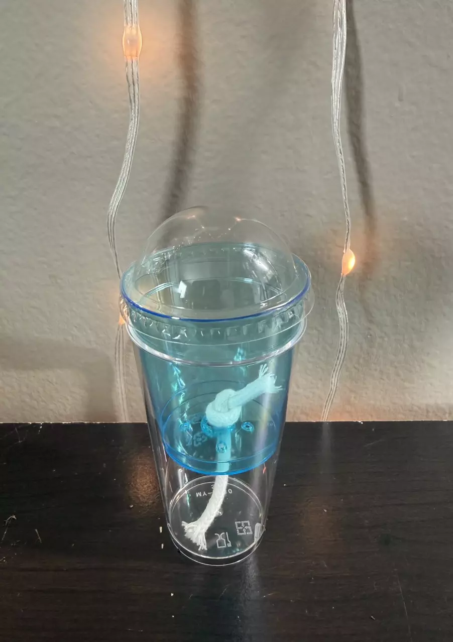 10PK Blue corm cups thumbnail