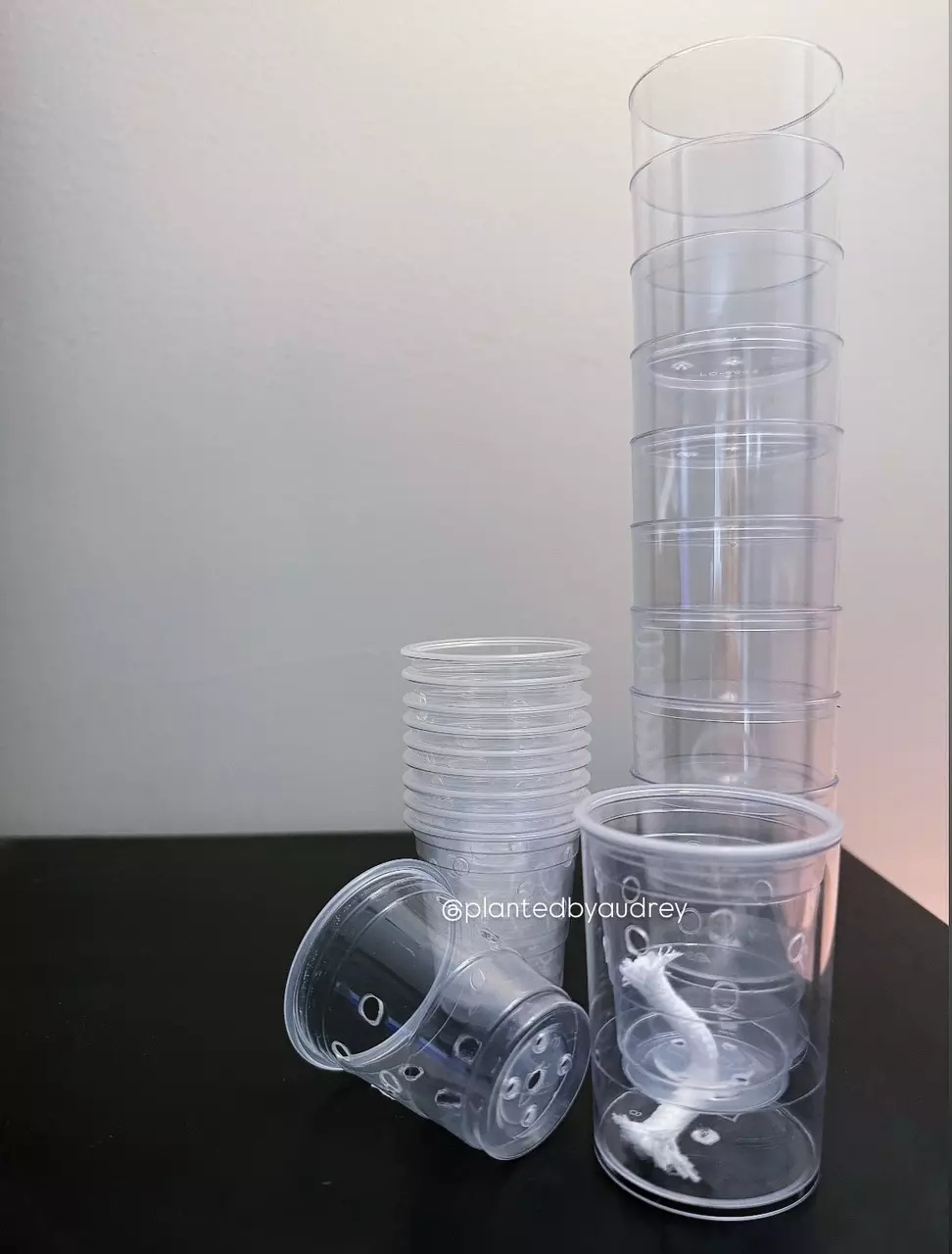 2” Self-Watering Pots with Aeration Holes (Set of 10) thumbnail