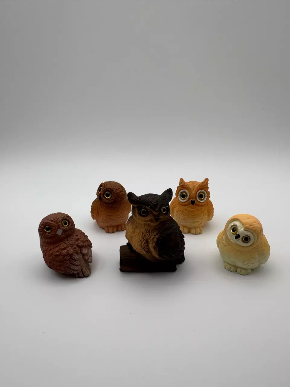 Birbs - Parliament of Owls thumbnail