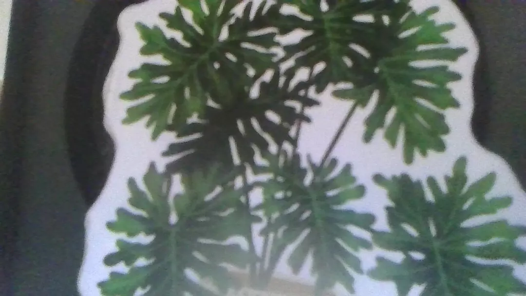 Giveaway Shipping thumbnail