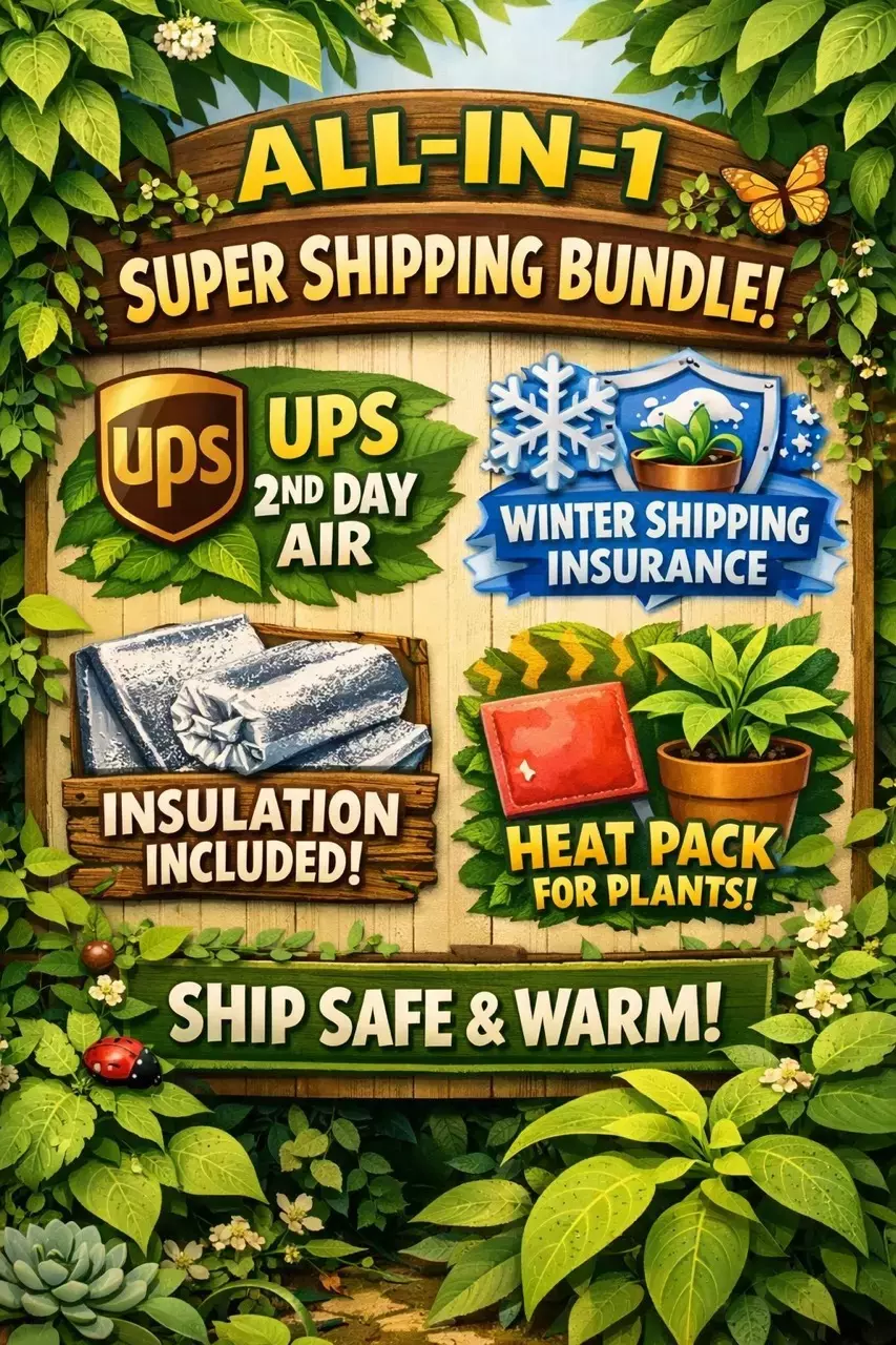 2nd Day Air, Insulation and Heat Pack combo thumbnail