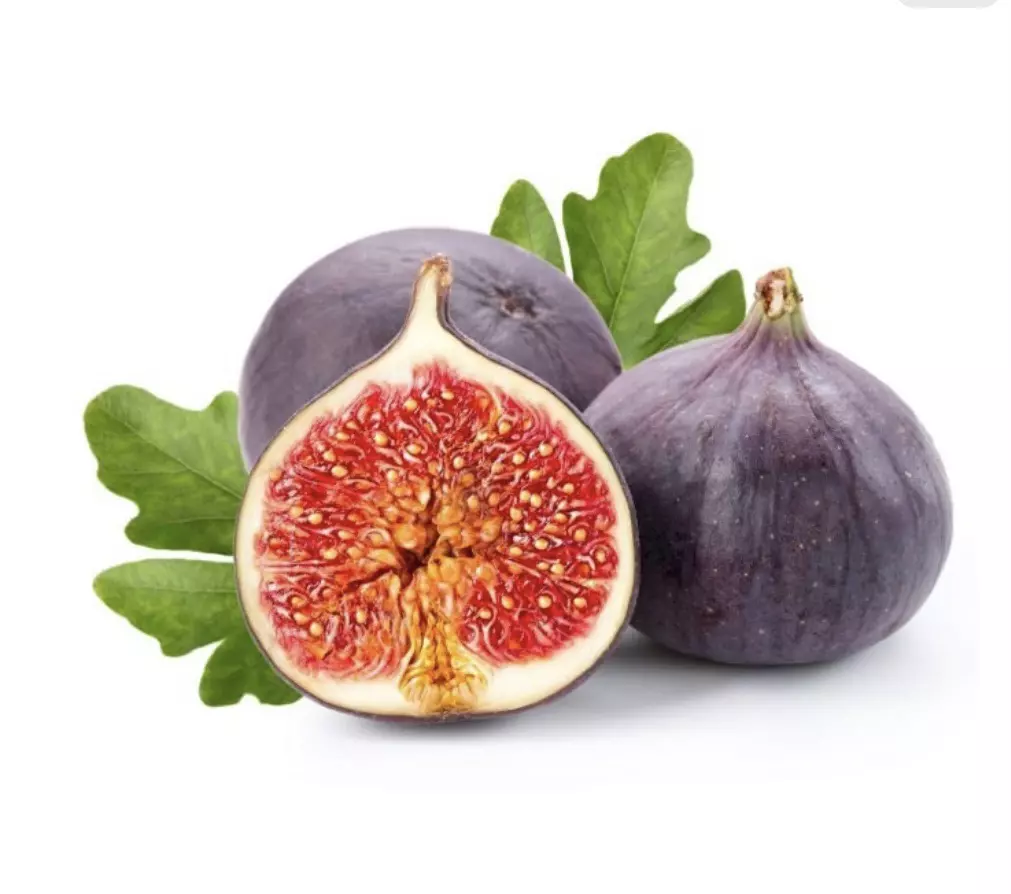 Ficus Carica Fig starter plant growers choice thumbnail