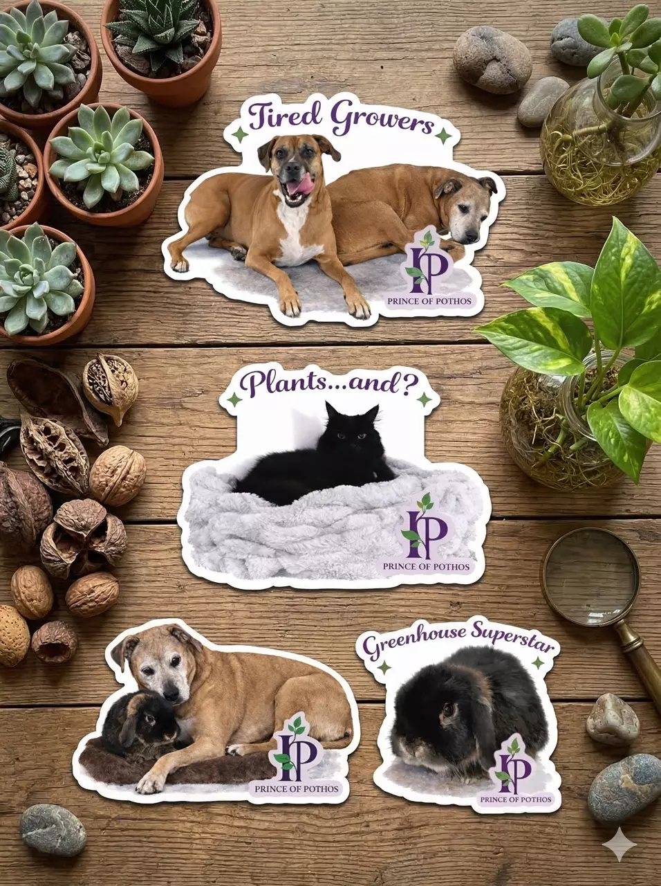 Stickers - Bo, Chloe, Rascal, & Sylvester thumbnail