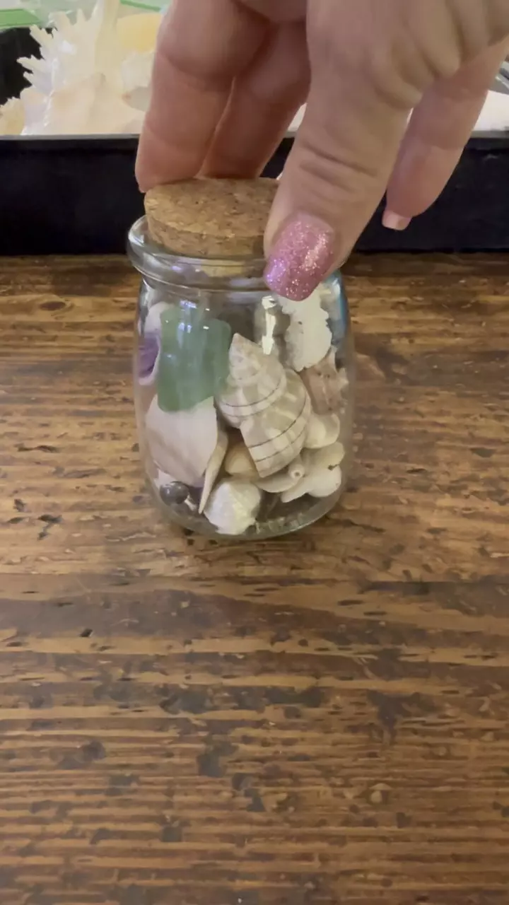 Seashell jar collectible thumbnail