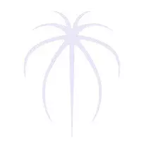 (Black Widow x Michelle) x Chocolate crystallinum *seedlings, add-on* thumbnail