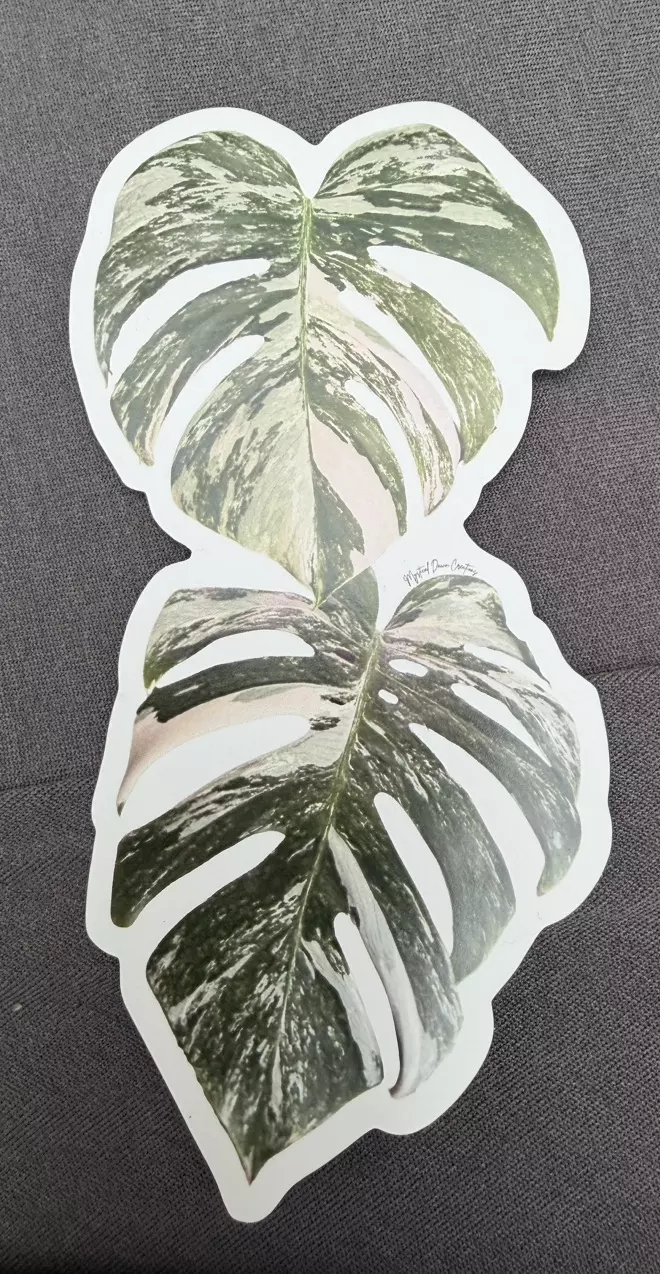 Monstera Magnet thumbnail