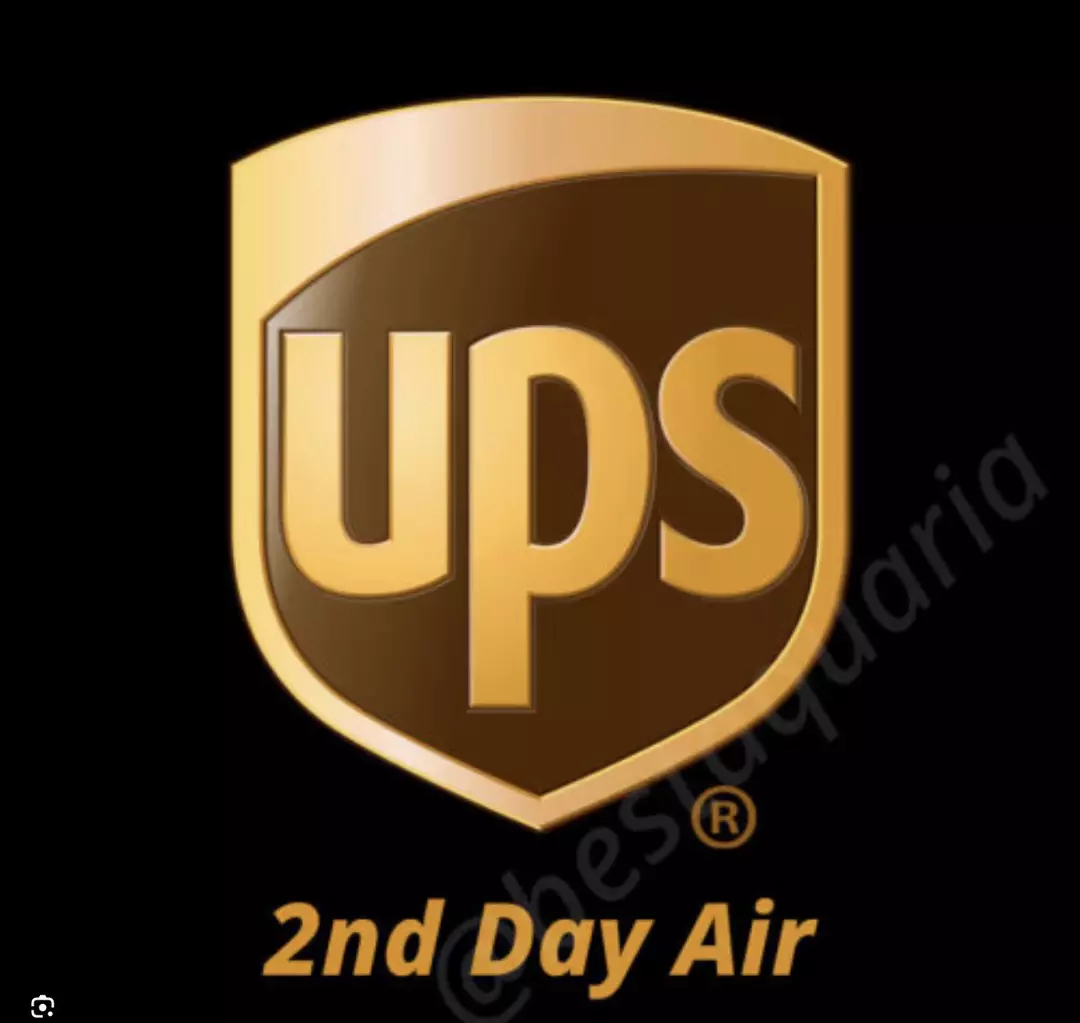 ✈️ UPS 2-Day Air Shipping Upgrade thumbnail