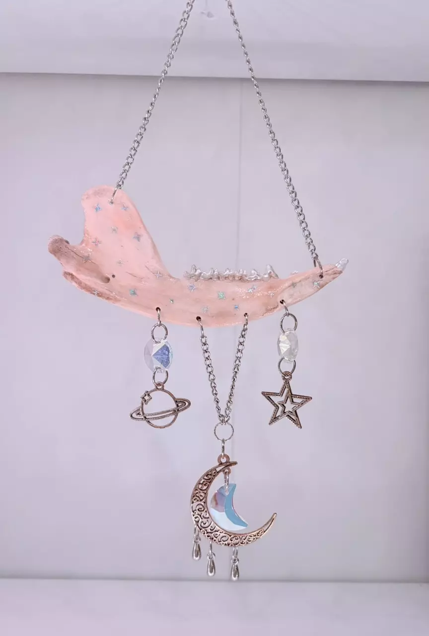 Raccoon Jaw bone sun catcher cosmic with quartz crystals oddity art ✨🦝 thumbnail