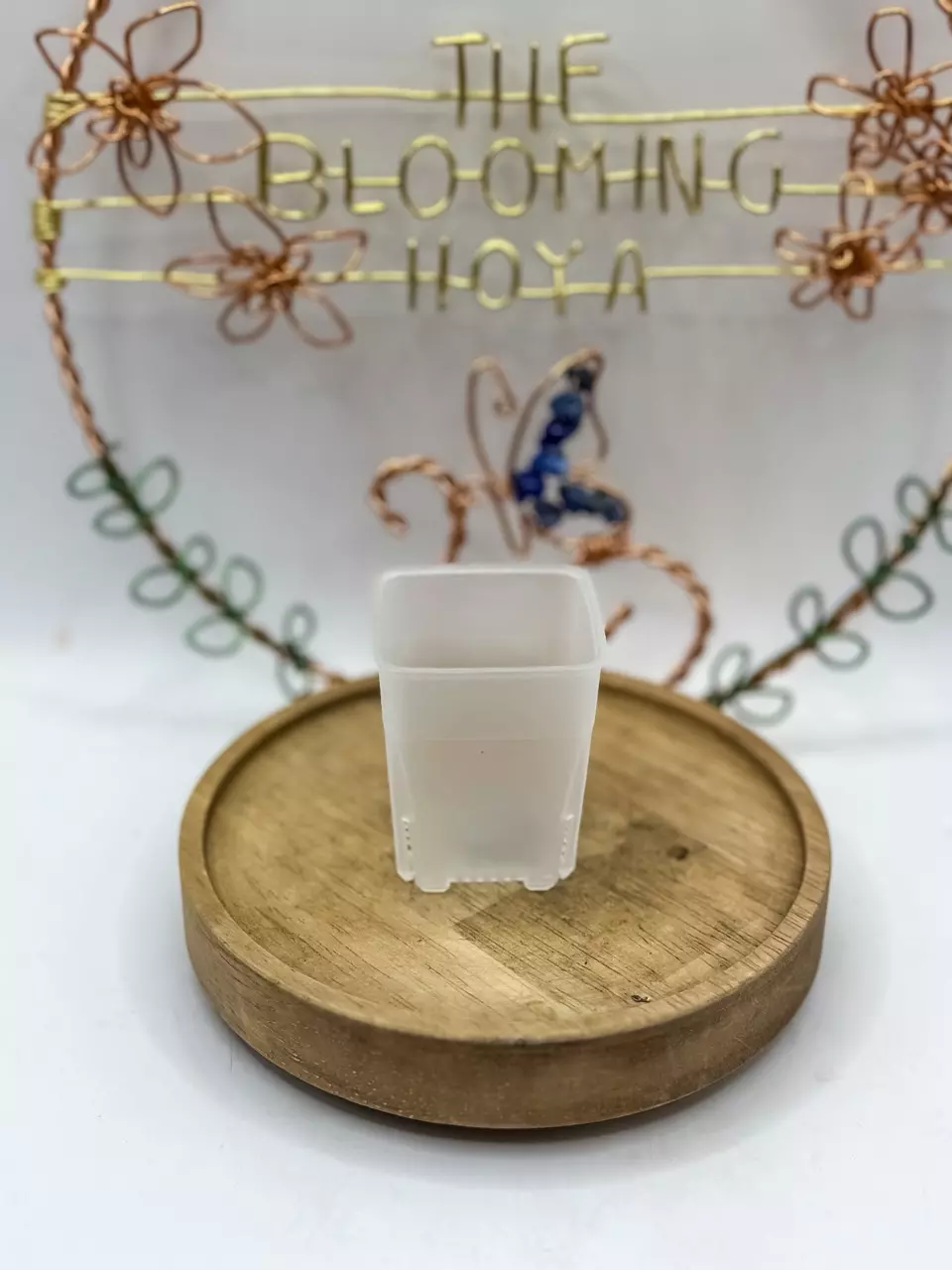 (Set of 20) 1.5” mini clear opaque pots (1.5” x 1.95”) thumbnail