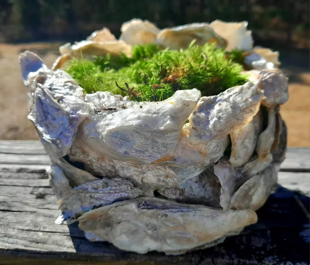 Oyster Shell Bowl thumbnail