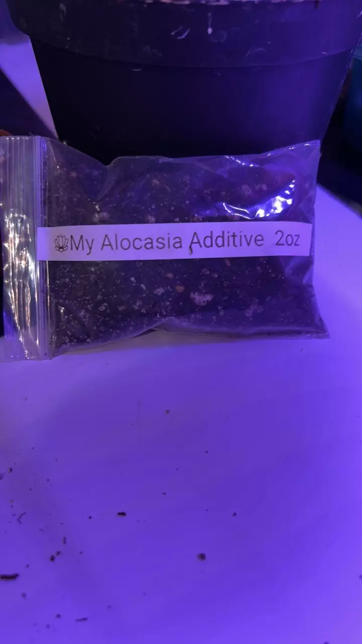 Alocasia Additive 2 oz thumbnail