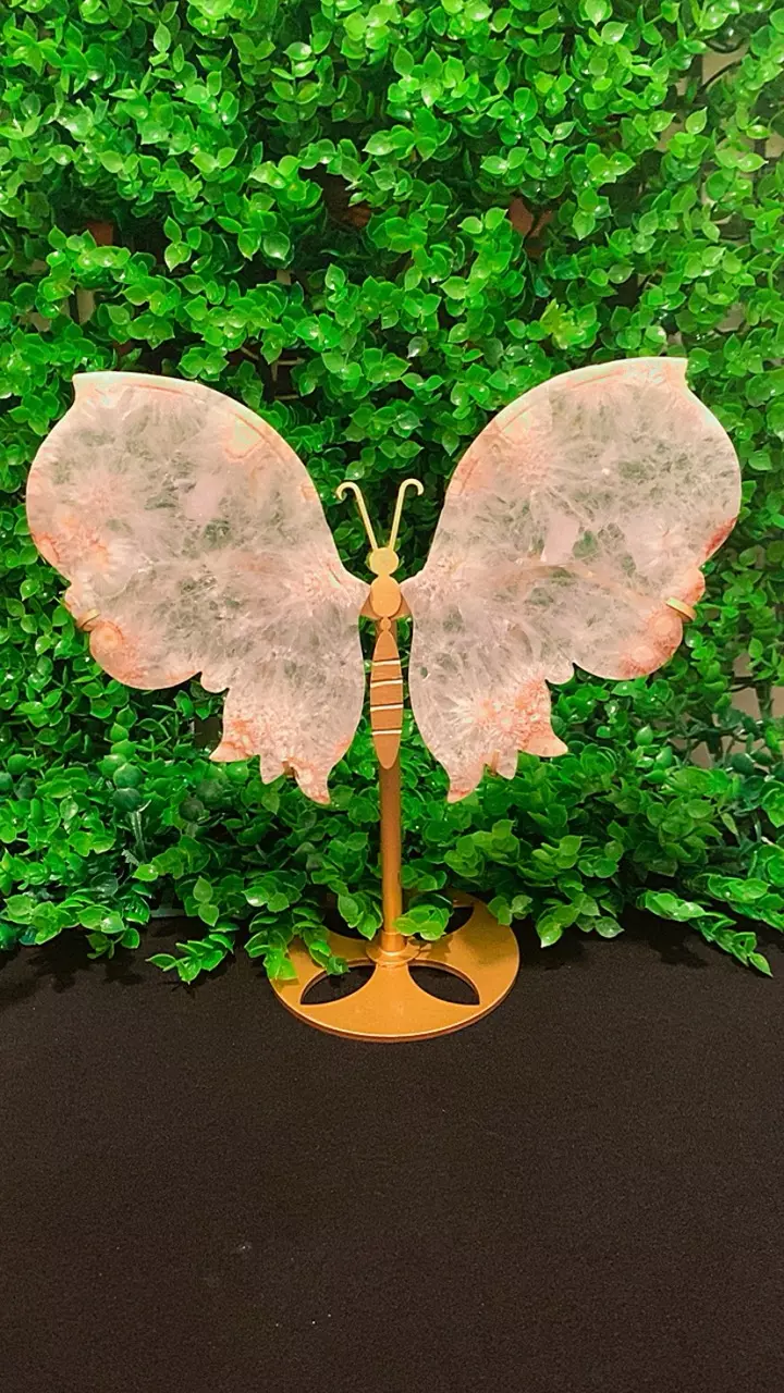 Flower Agate Butterfly thumbnail