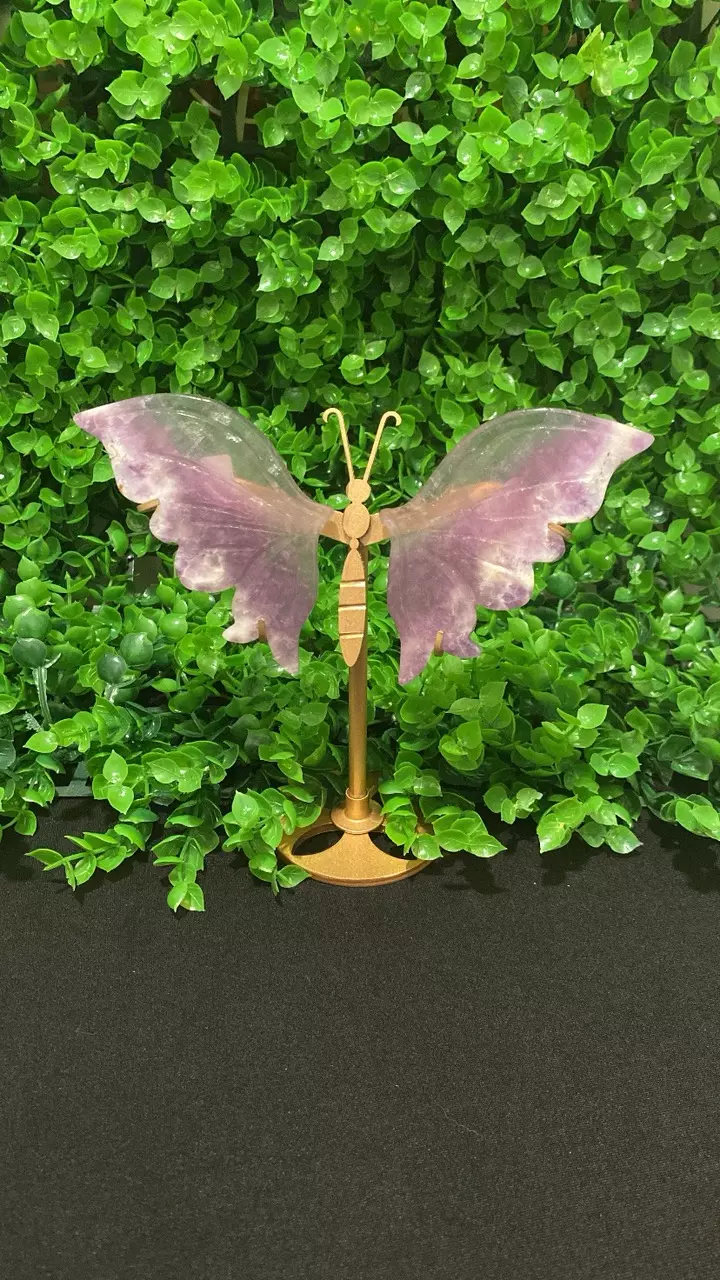 Purple Fluorite Butterfly wings thumbnail