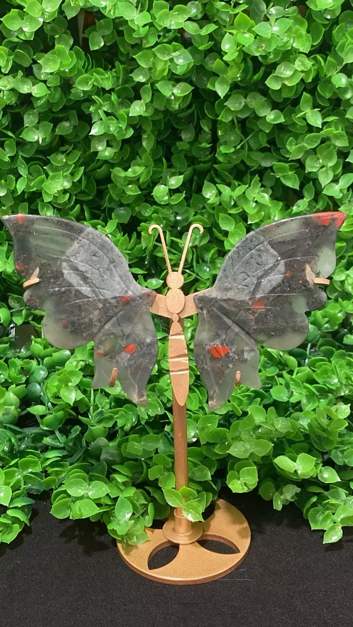 African Blood Butterfly thumbnail