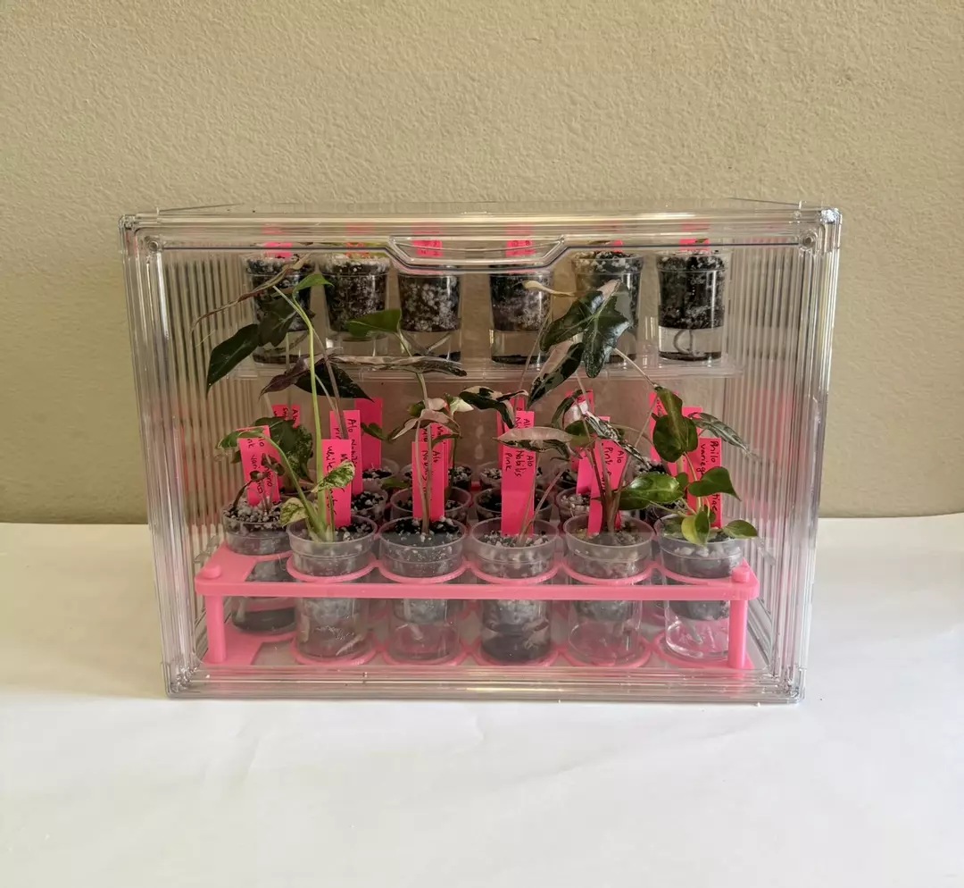 Mini greenhouse, cup holder and 23 pup cups all included thumbnail