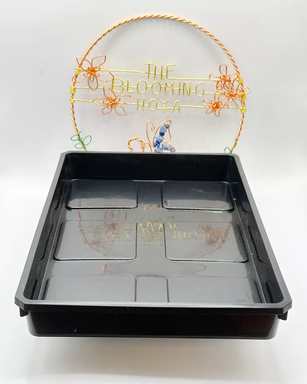 6 cell water tray in Black (1 tray) thumbnail