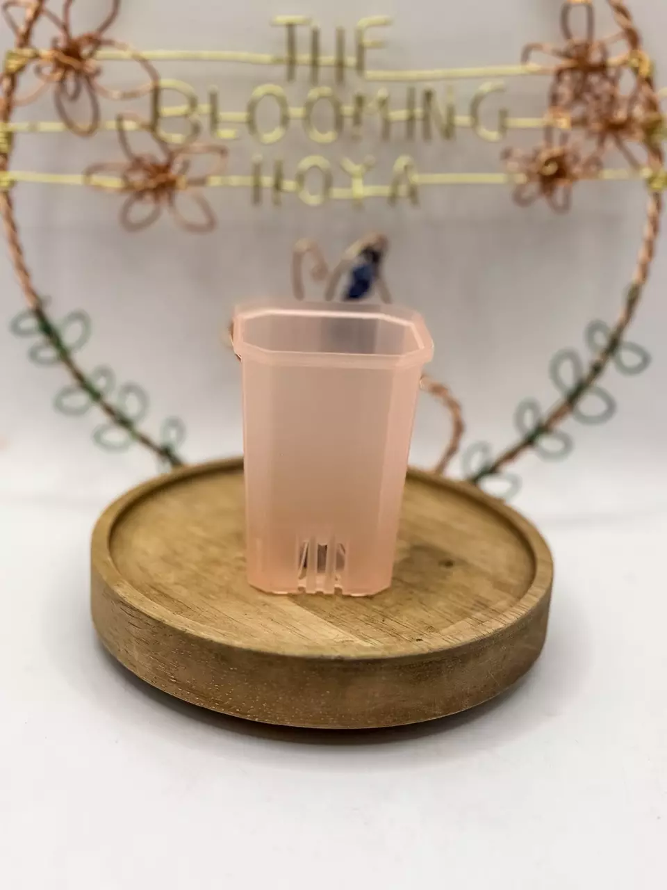 (Set of 10) Tall Pink Opaque 2” pots (~2” x 2.5”) thumbnail