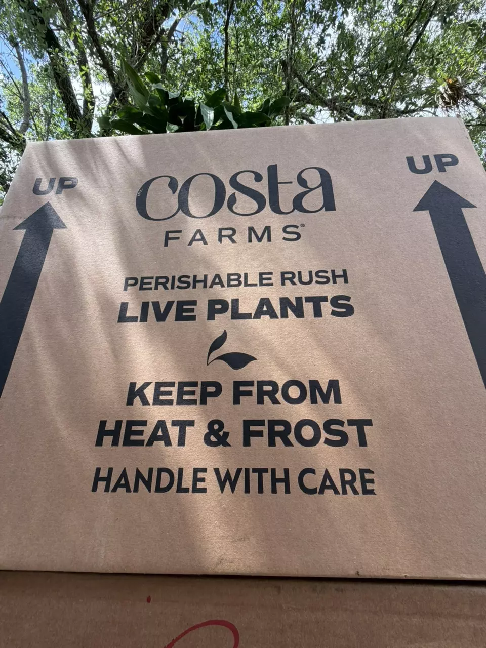 Insulation winter protection Small-Medium thumbnail