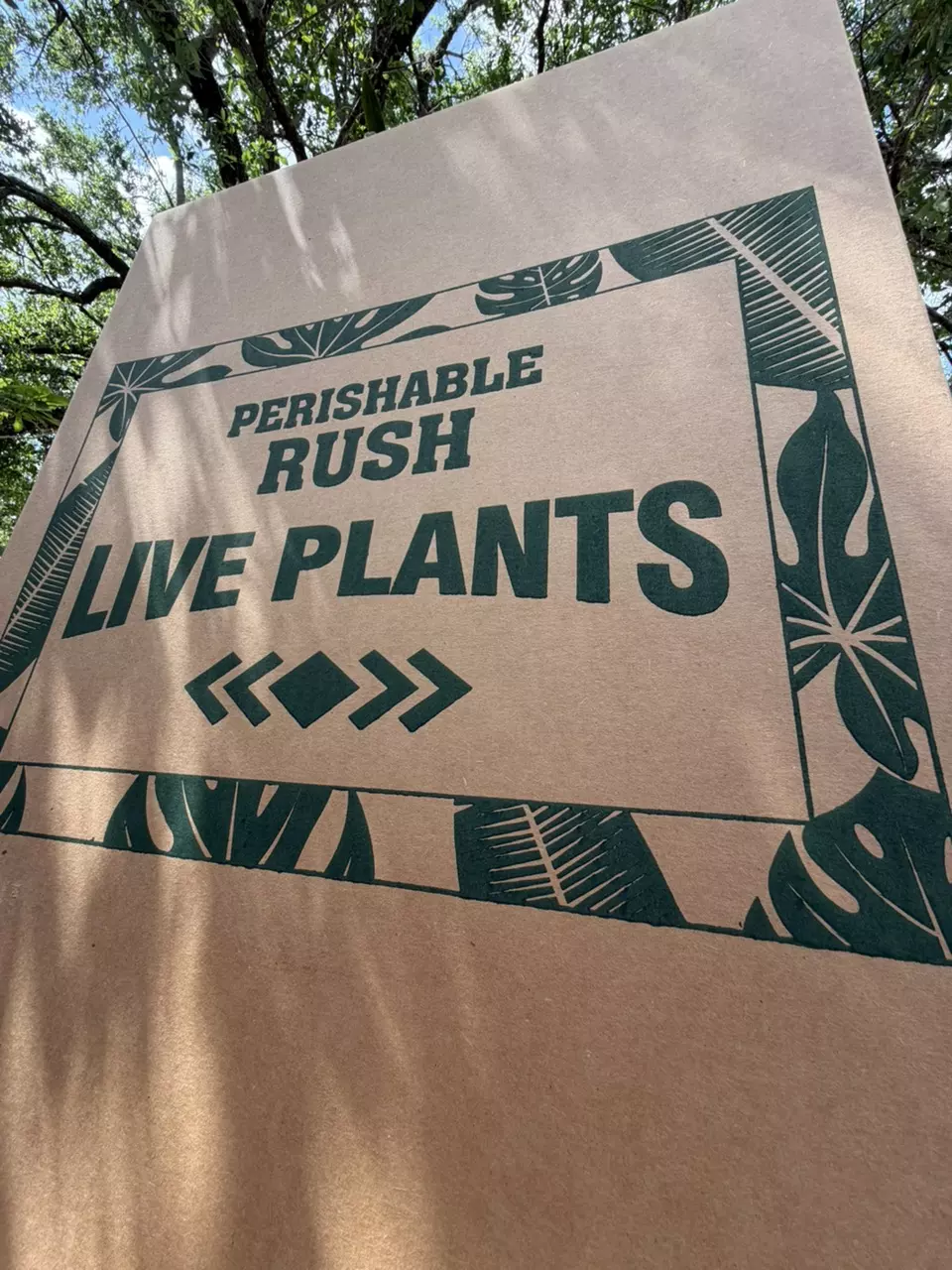 2 day UPS Shipping upgrade SMALL thumbnail