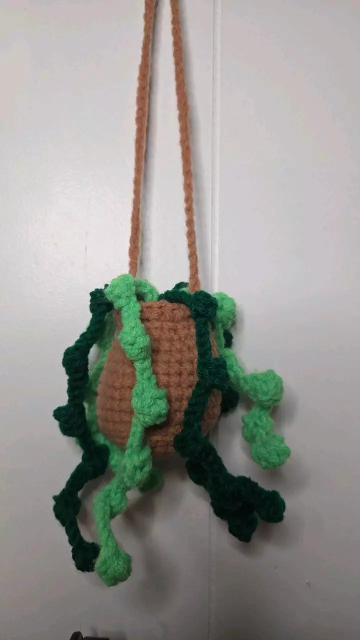 Handmade Crocher String of Pearls Hanging plant rear view mirror decor thumbnail