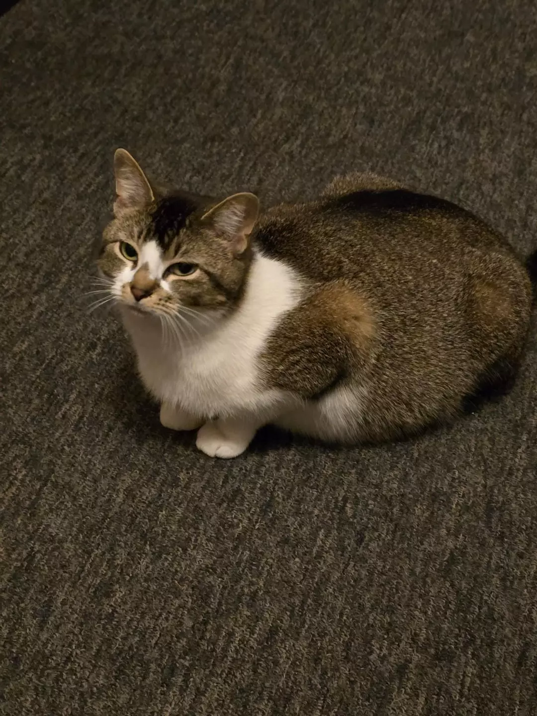 Insulation thumbnail