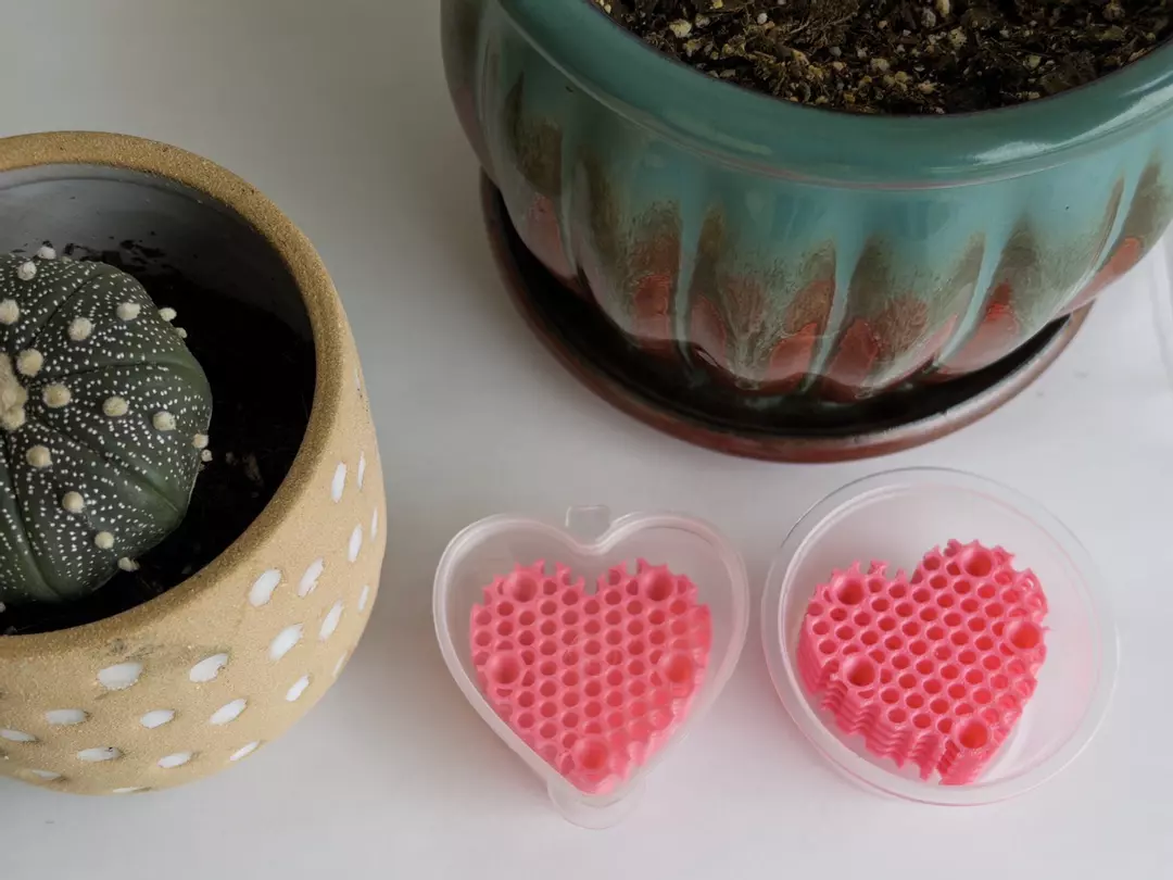 20x Heart-Shaped Cups w/ Corm Risers thumbnail