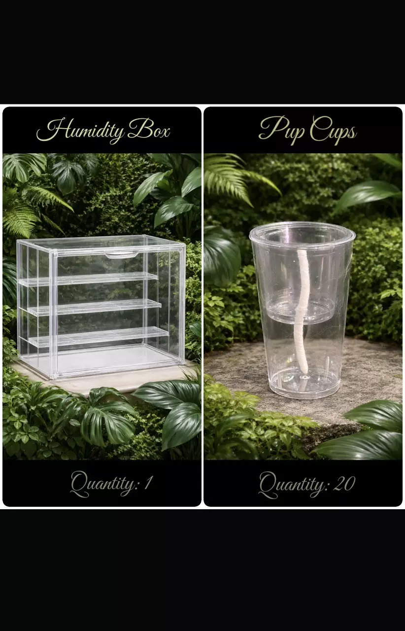 Humidity Box (14.2 x 10.6 x 7.6in) + 20 pup cups (1oz/3oz) thumbnail