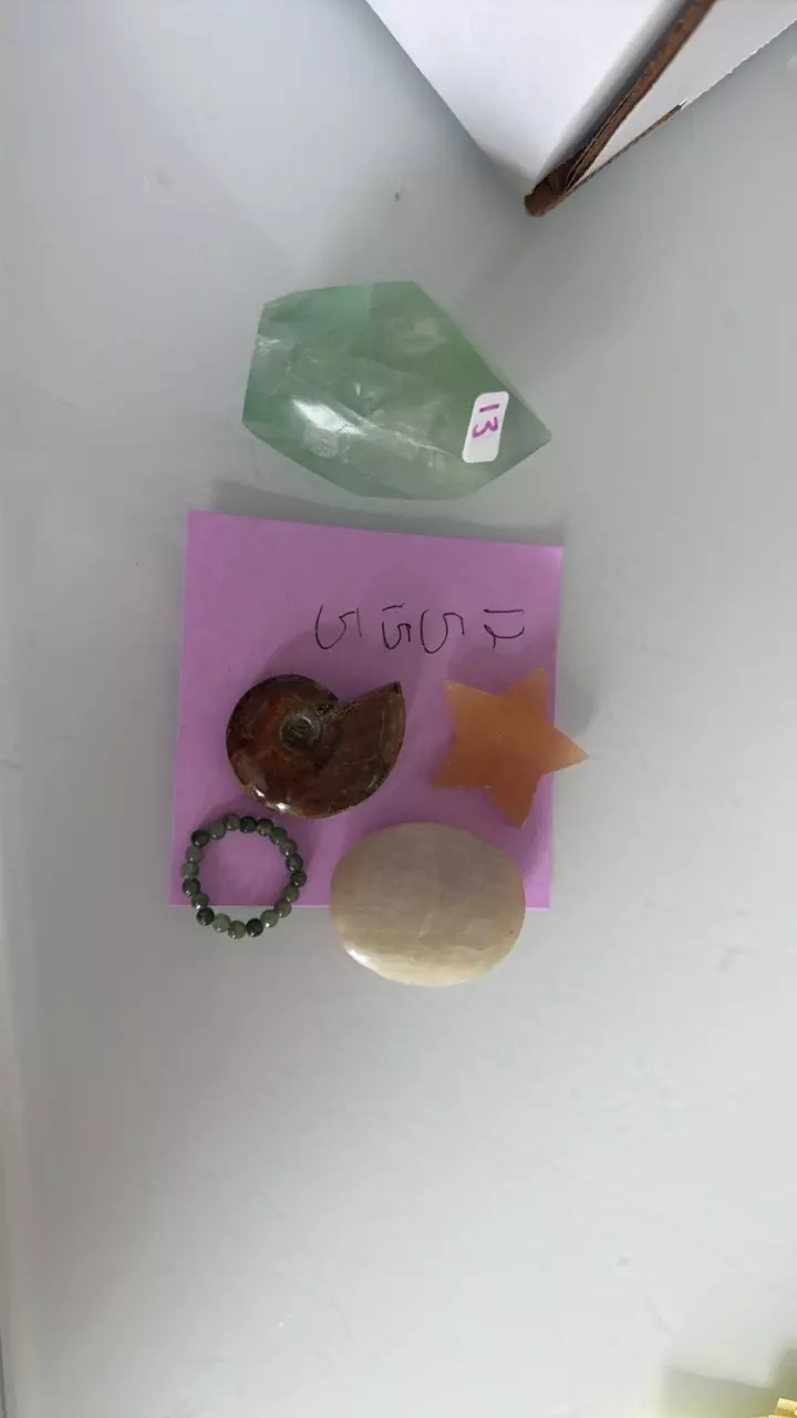 Crisp reef frond thumbnail