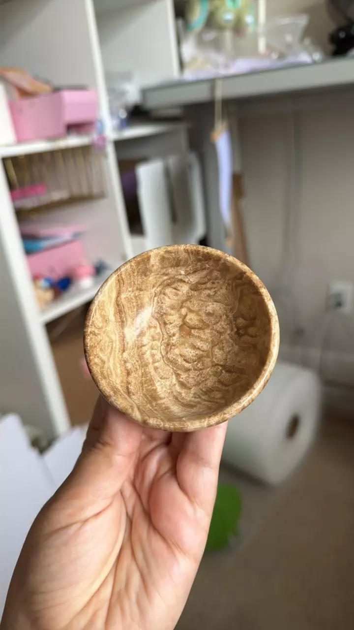 Bear root plantique thumbnail