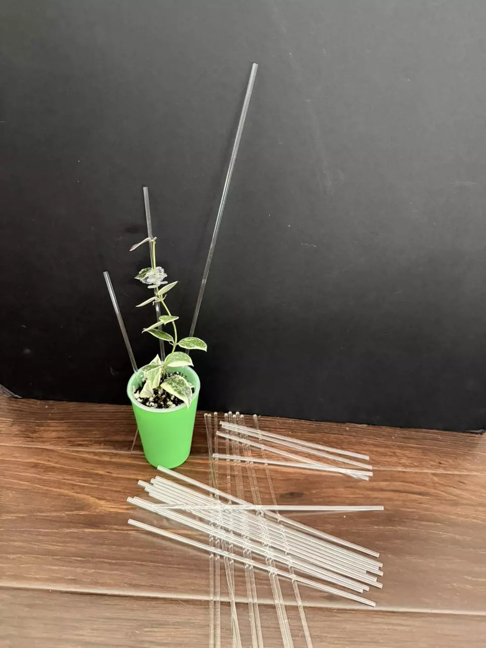 Thin acrylic stakes set of 100 for all 3 sizes (6”(35),8”(35),12”(30) thumbnail