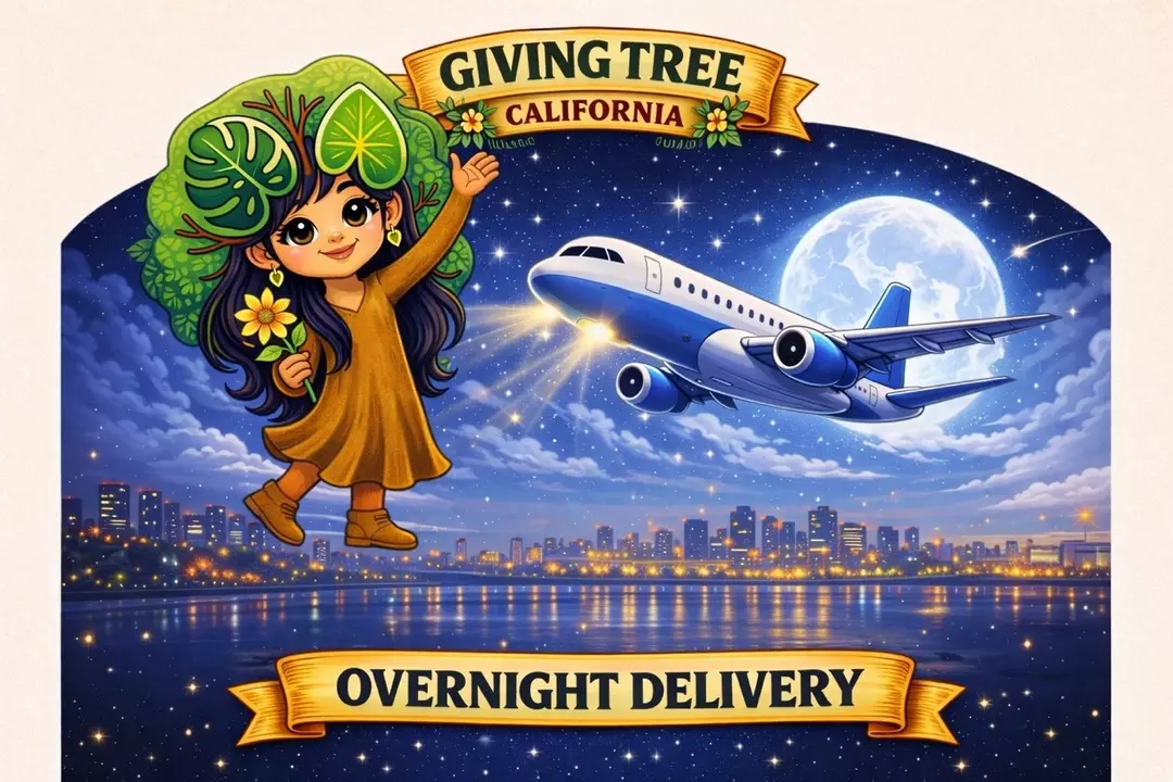 Overnight Delivery $40 thumbnail