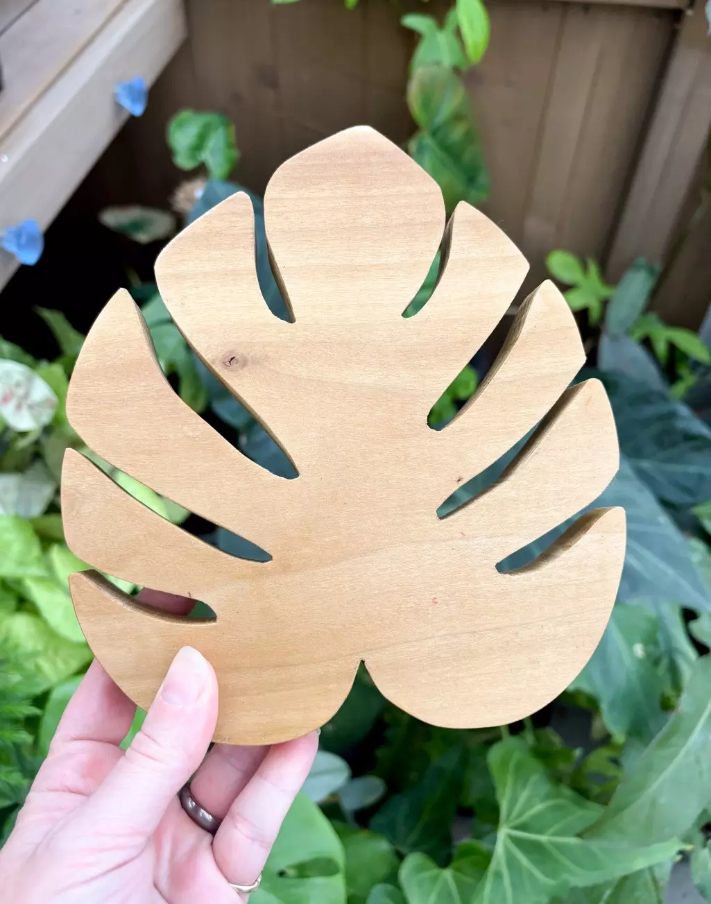 Handmade Monstera Riser thumbnail
