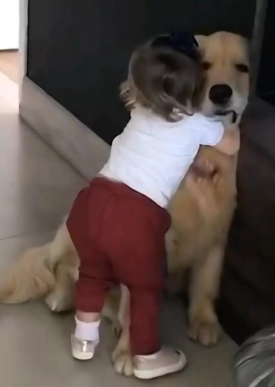 HOLD MY ORDER! thumbnail