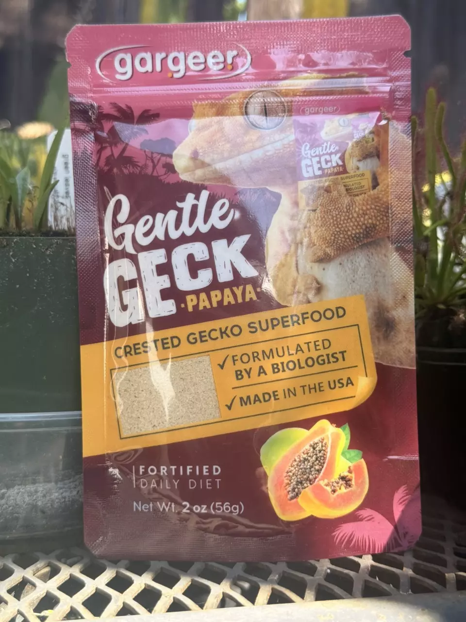 Gargeer Gentle Geck Papaya 2oz thumbnail