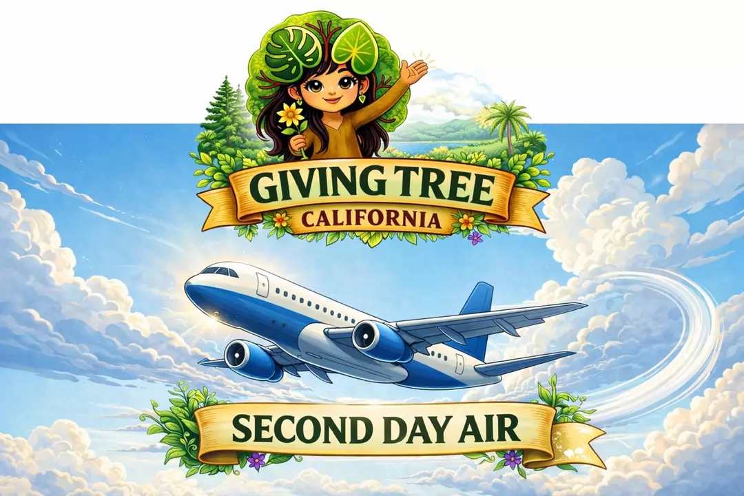 2-Day Air Upgrade $25 thumbnail