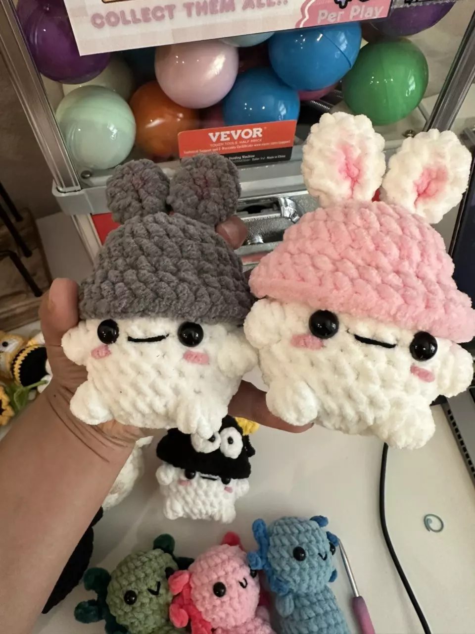 Mushrooms with hats 😊 thumbnail