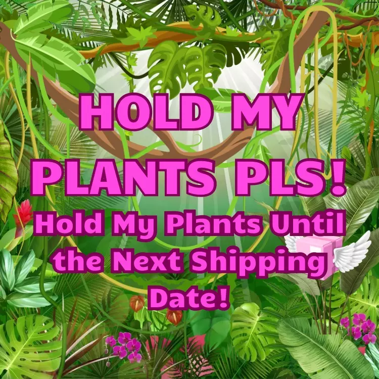 HOLD MY PLANTS!! thumbnail