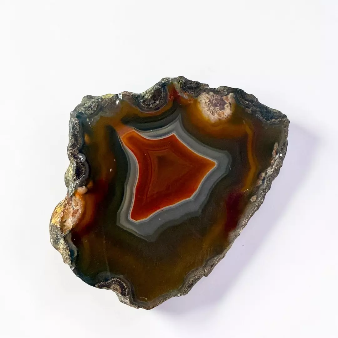 Rare Laguna Agate from Mexico thumbnail