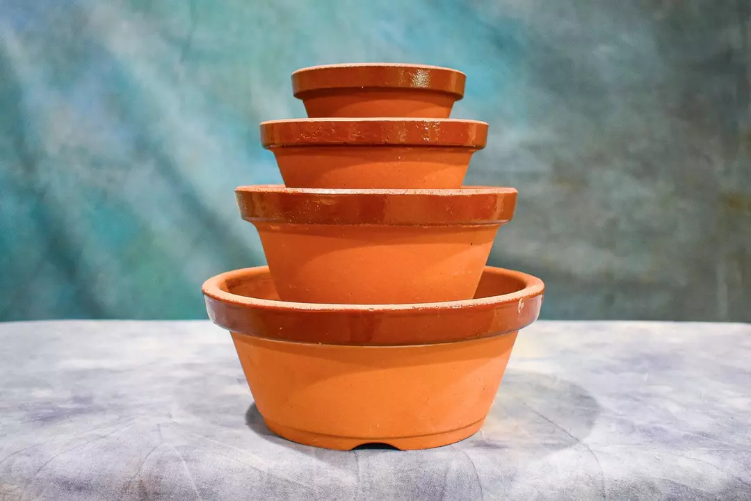TOKONAME TRAINING POTS - ASSORTED SET OF 4 thumbnail