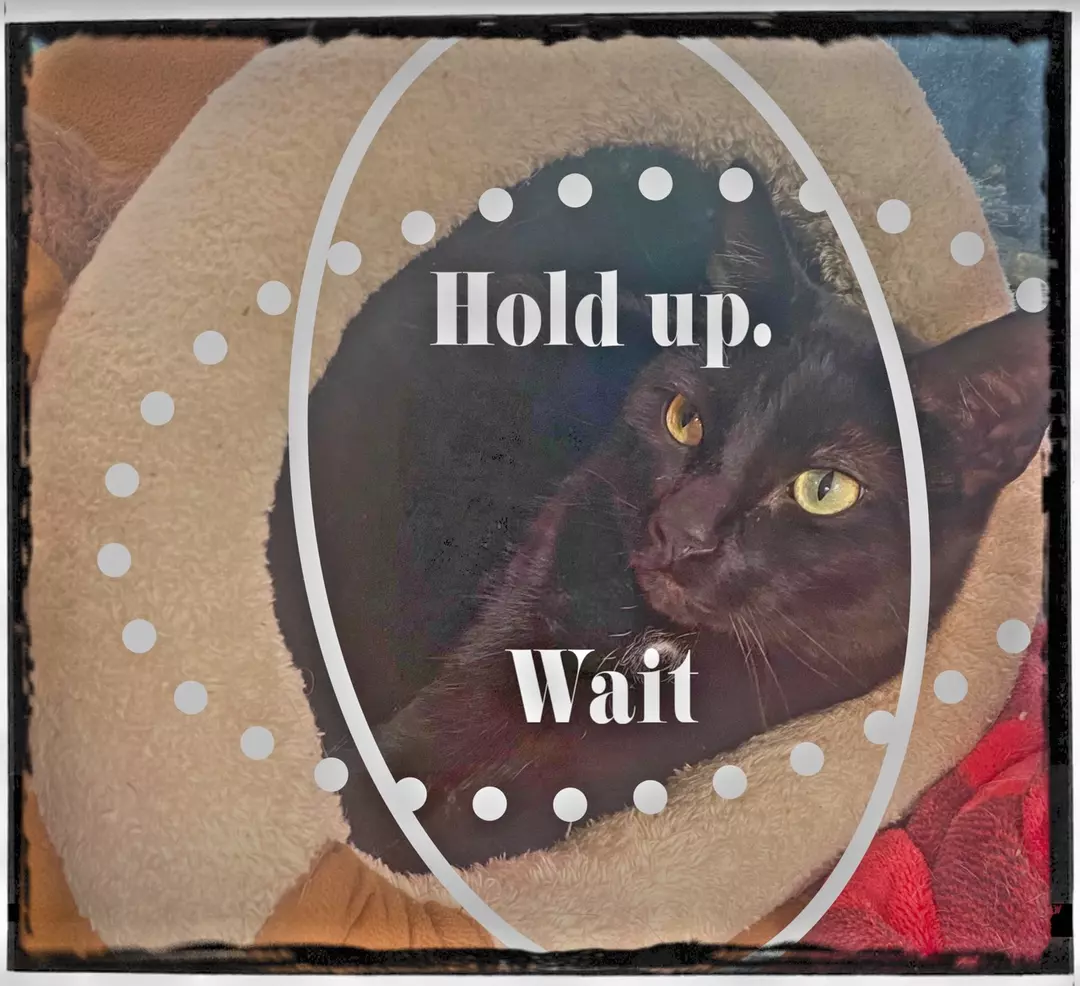 Hold my order 1 week thumbnail