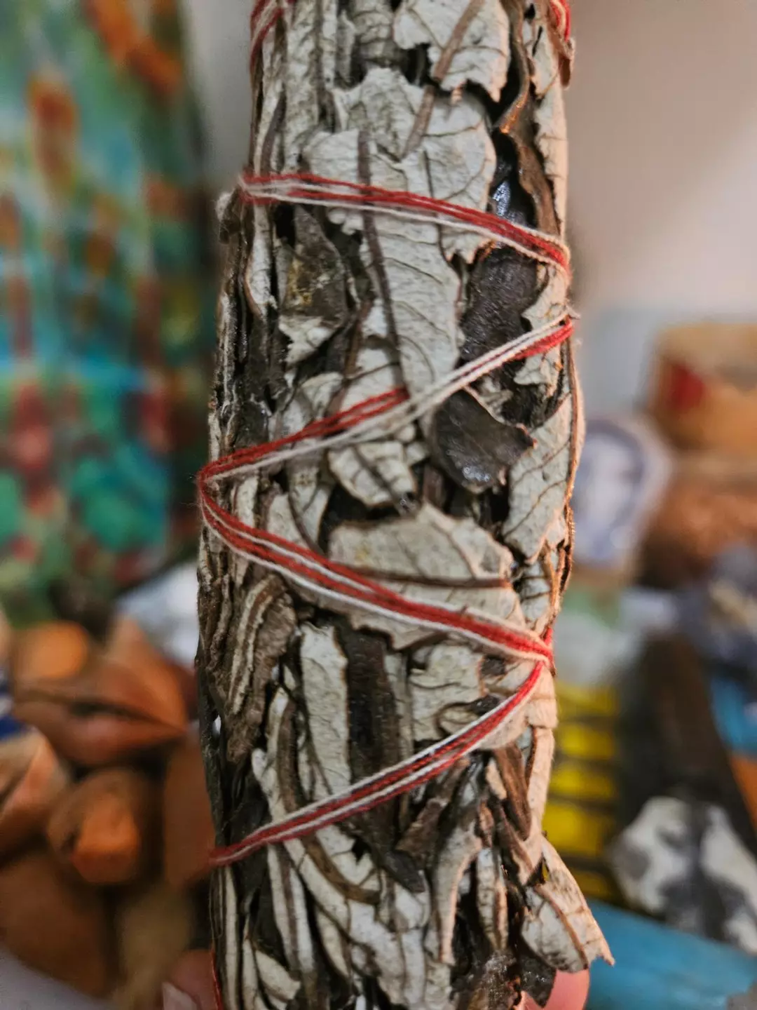 Yerba Santa from Peru thumbnail