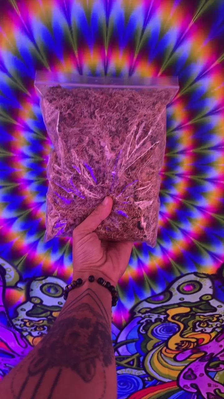 Sphagnum Moss **ADD ON ONLY** thumbnail